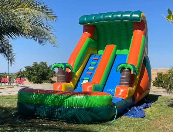 Occasion Party Rentals - Waterslide water slide birthday party rental linden